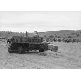 Field Days