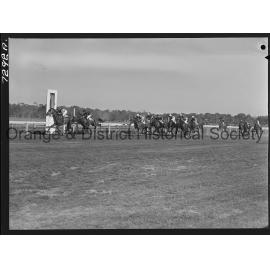 Orange Cup race meeting