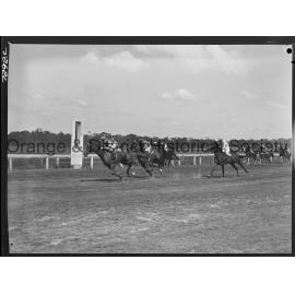 Orange Cup race meeting
