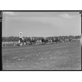 Orange Cup race meeting