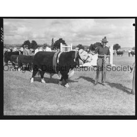 Blayney Show
