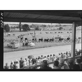 Blayney Show