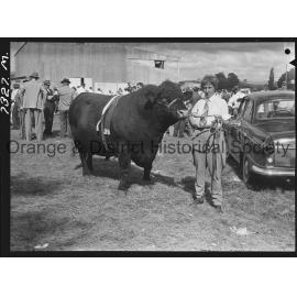 Blayney Show