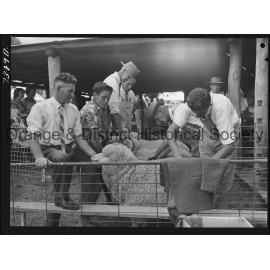 Cumnock Show 1963