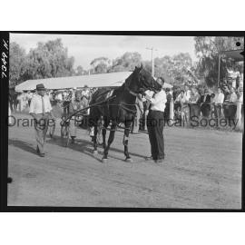 Cumnock Show 1963