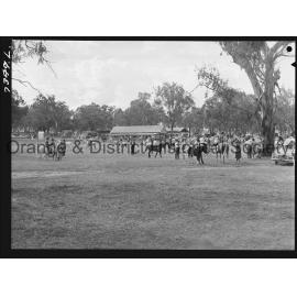 Cumnock Show 1963