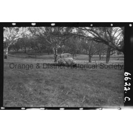 Orange Light Car Club gymkhana