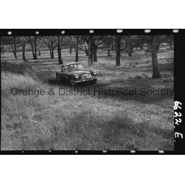 Orange Light Car Club gymkhana