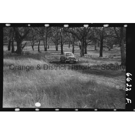 Orange Light Car Club gymkhana