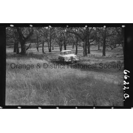 Orange Light Car Club gymkhana