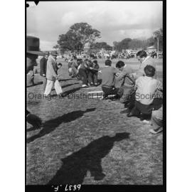 Molong Show