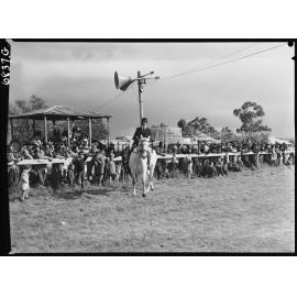 Molong Show