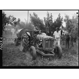 Orchard displays at Orange Field Days