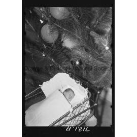 Gaye Dorothy McGinley