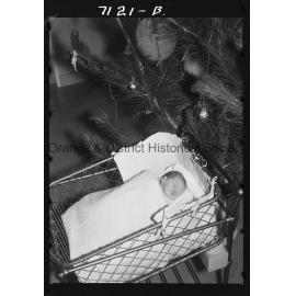 Gaye Dorothy McGinley