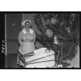 Gaye Dorothy McGinley