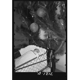 Gaye Dorothy McGinley