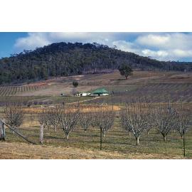 Fernbank property at Towac