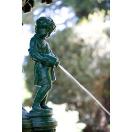 Dalton Fountain, Cook Park