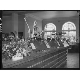 Cherry Blossom display in the Commonwealth Bank