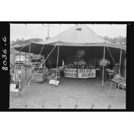 Third day of Field Days