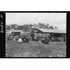 Third day of Field Days
