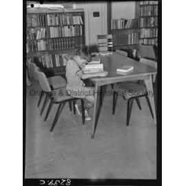 Adrian Ungar at the City Library