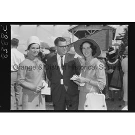 Orange Cup fashions