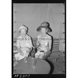 Orange Cup fashions
