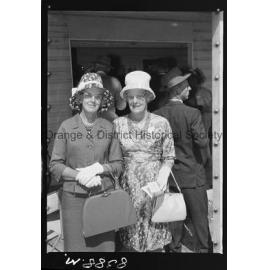 Orange Cup fashions