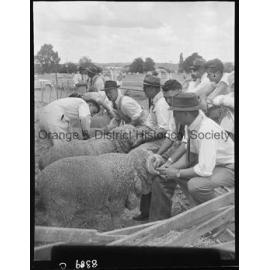 Blayney Show