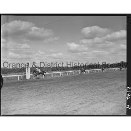Orange race finishes
