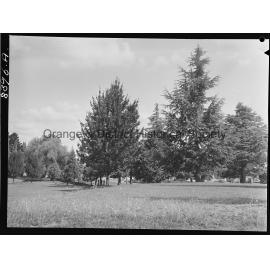 Memory Park, Bathurst Road