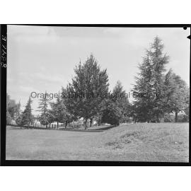 Memory Park, Bathurst Road