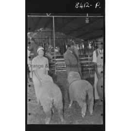 Cumnock Show