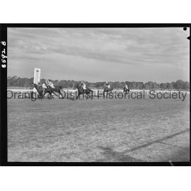 Trainer's cup race finishes