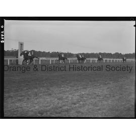 Trainer's cup race finishes