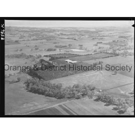 Aerial view of McClymont's orchard