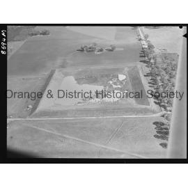Aerial view of McClymont's orchard
