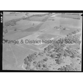 Aerial view of McClymont's orchard