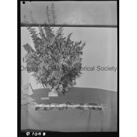 Orange Horticultural Society's Late Autumn Flower Show