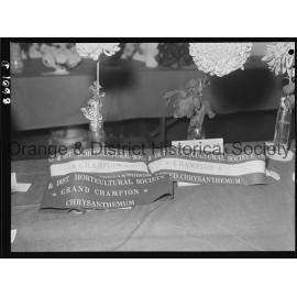 Orange Horticultural Society's Late Autumn Flower Show