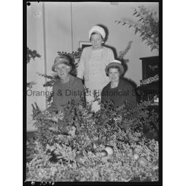 Berry fete at CWA Hall