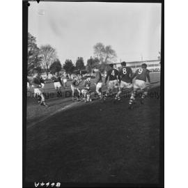 Rugby league St Pat's v CYMS