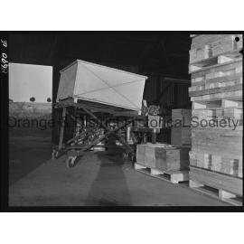 Armstrong's Orchard Nashdale