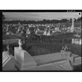Cemetery cleanup