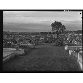 Cemetery cleanup