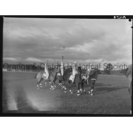 Polocrosse carnival