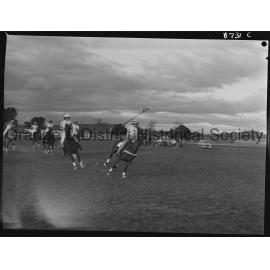 Polocrosse carnival