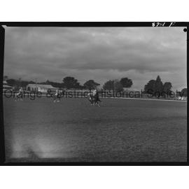 Polocrosse carnival
